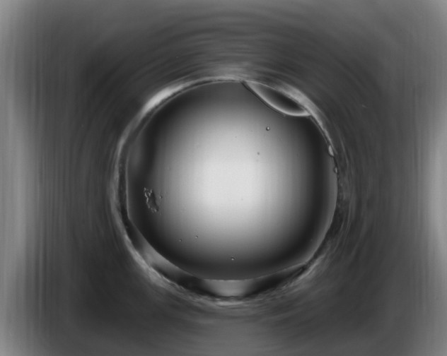 X0000086731147200704201641