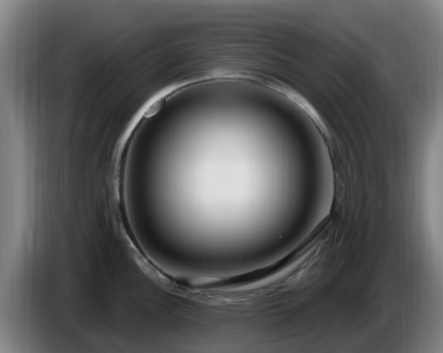 X0000086731148200704201641