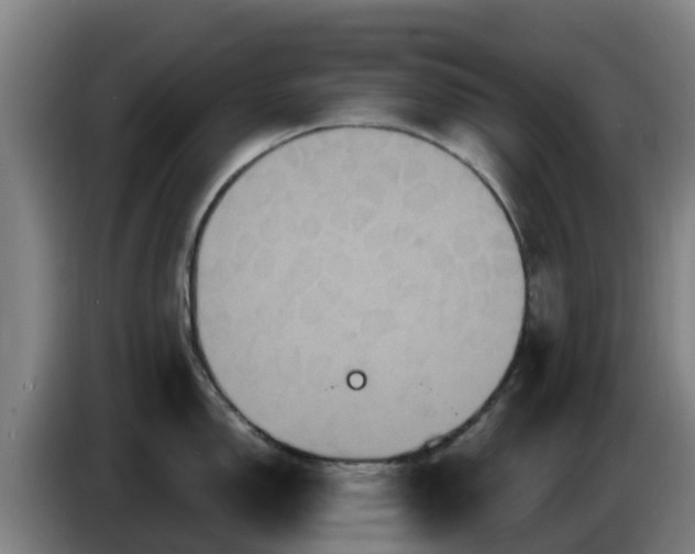 X0000086731150200704201641