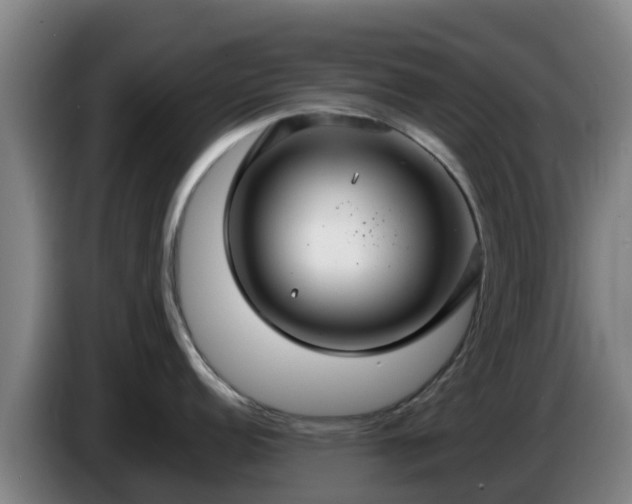 X0000086731152200704201641