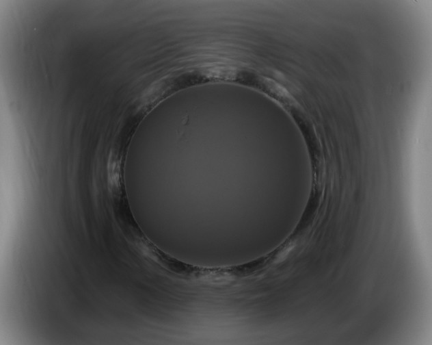 X0000086731154200704201640