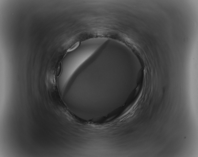 X0000086731155200704201640