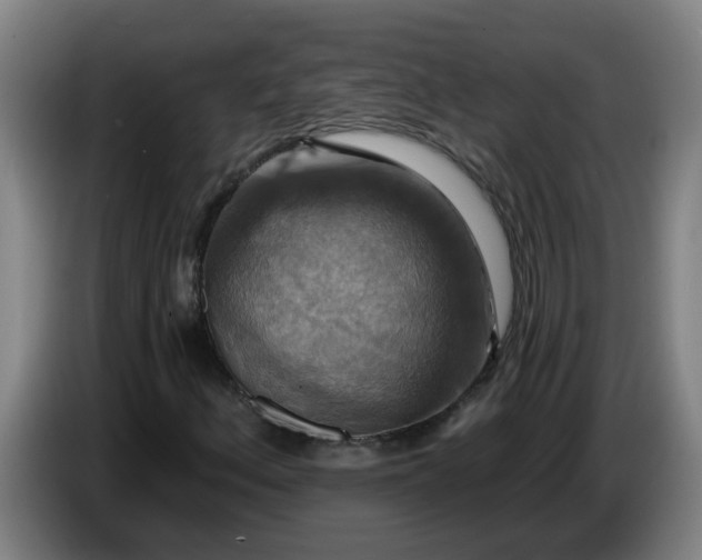 X0000086731156200704201640