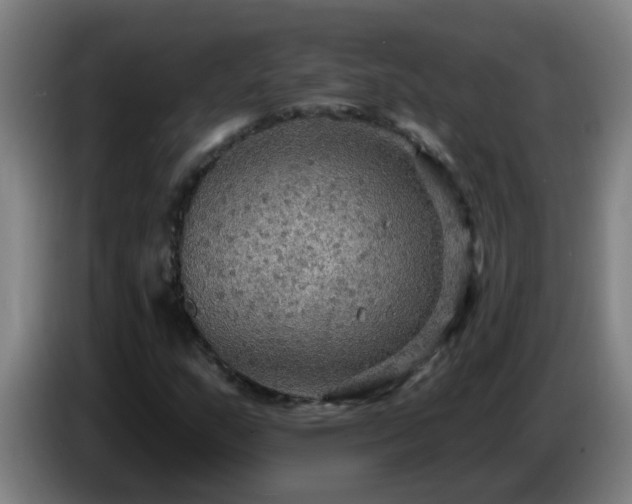 X0000086731159200704201640