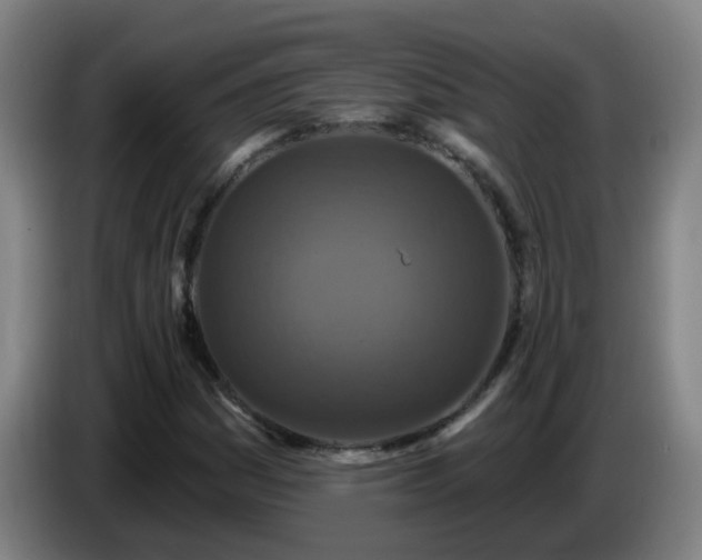 X0000086731161200704201640