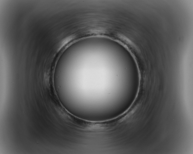 X0000086731162200704201640