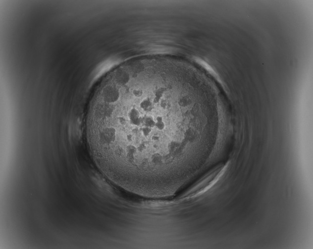 X0000086731163200704201640