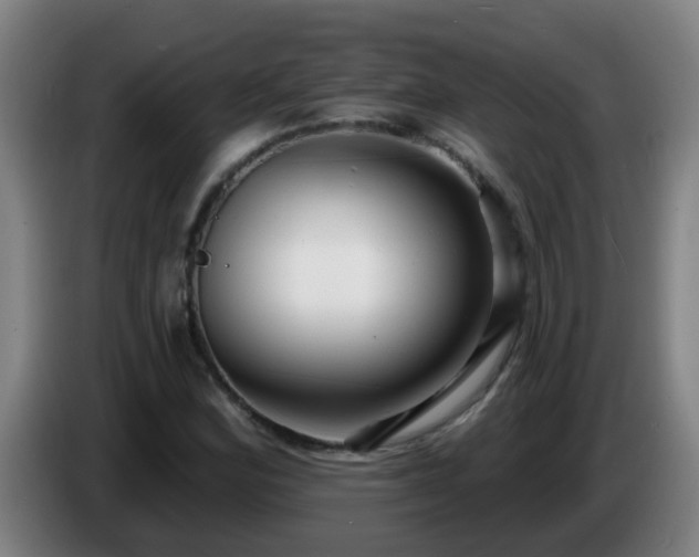 X0000086731164200704201640