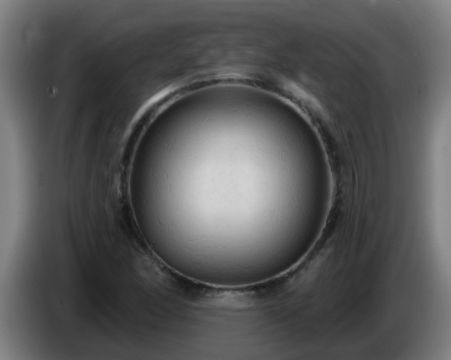 X0000086731166200704201640