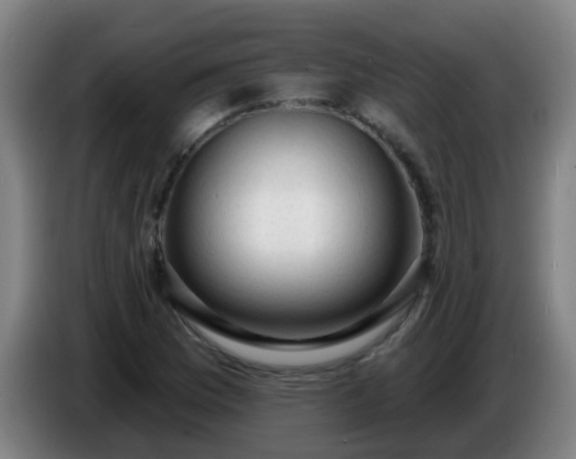 X0000086731169200704201640