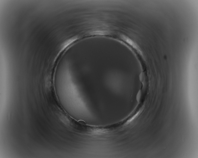 X0000086731170200704201640