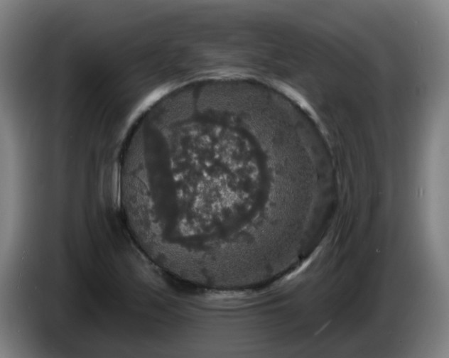 X0000086731171200704201640