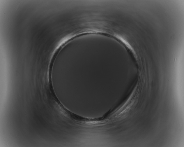 X0000086731173200704201640