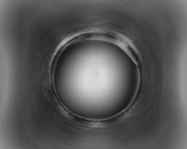 X0000086731176200704201640