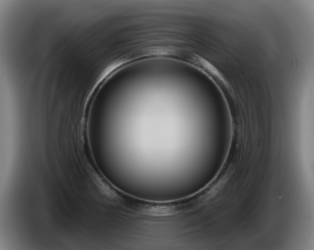 X0000086731178200704201640