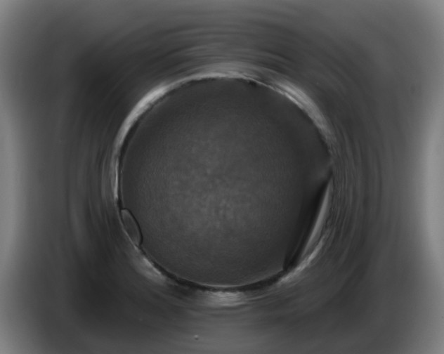 X0000086731180200704201640