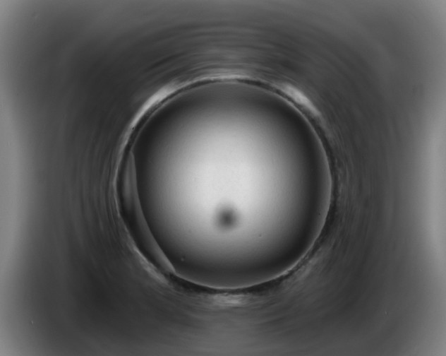 X0000086731181200704201640