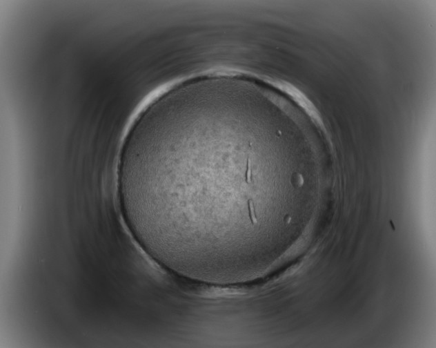 X0000086731183200704201640