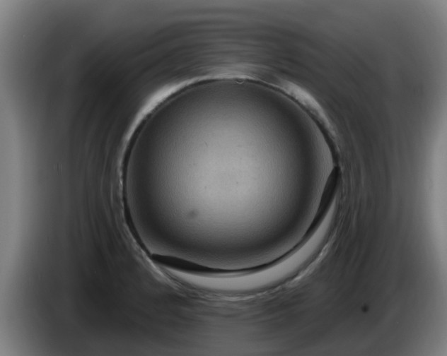 X0000086731184200704201640