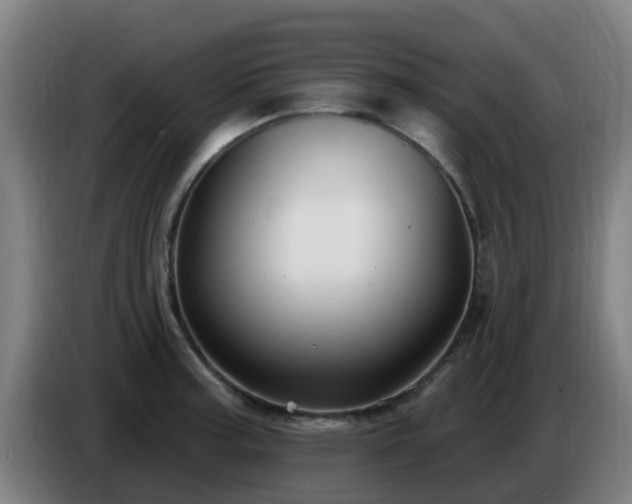 X0000086731187200704201640