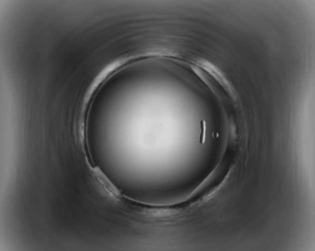 X0000086731188200704201640