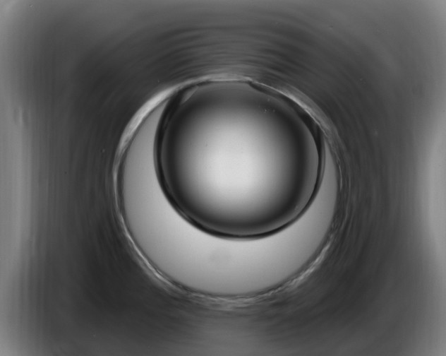 X0000086731196200704201640