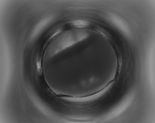 X0000086731198200704201640