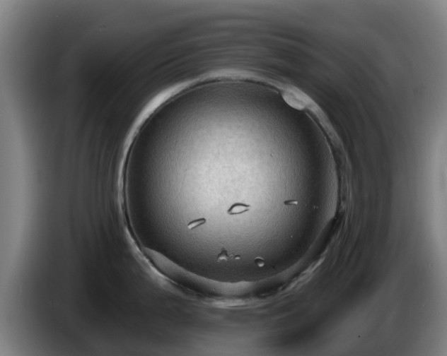 X0000086731199200704201640