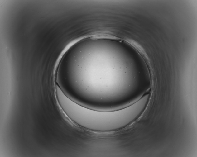 X0000086731200200704201640