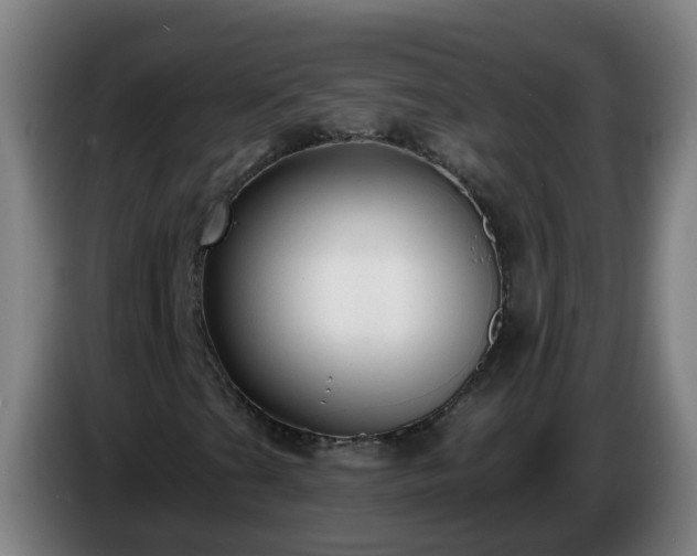 X0000086731201200704201639