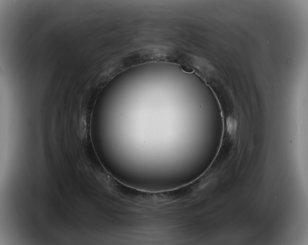 X0000086731203200704201639