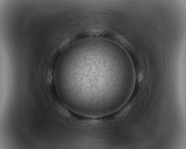 X0000086731204200704201639