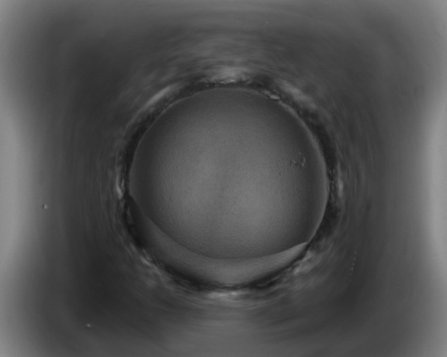 X0000086731206200704201639