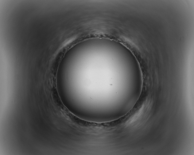 X0000086731207200704201639