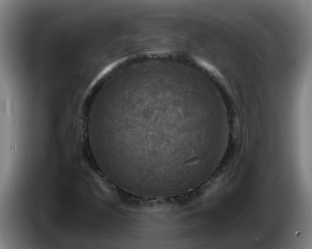 X0000086731208200704201639