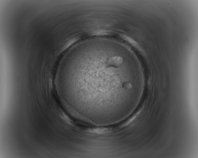 X0000086731209200704201639