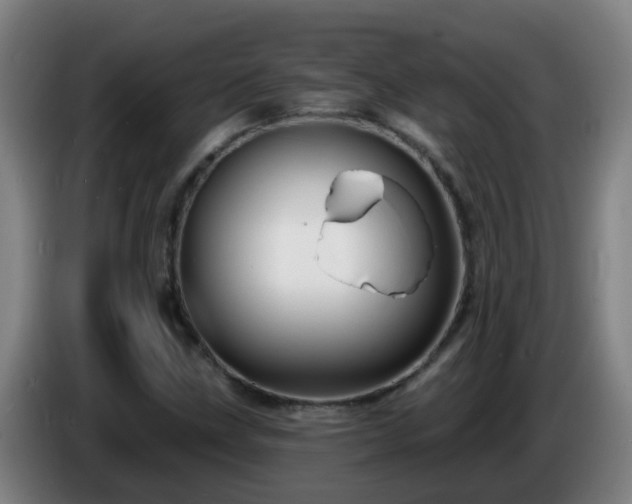 X0000086731211200704201639