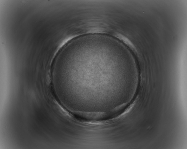 X0000086731212200704201639