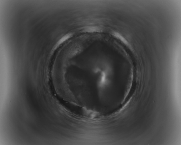 X0000086731213200704201639