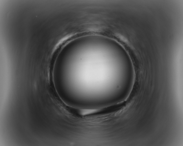 X0000086731214200704201639