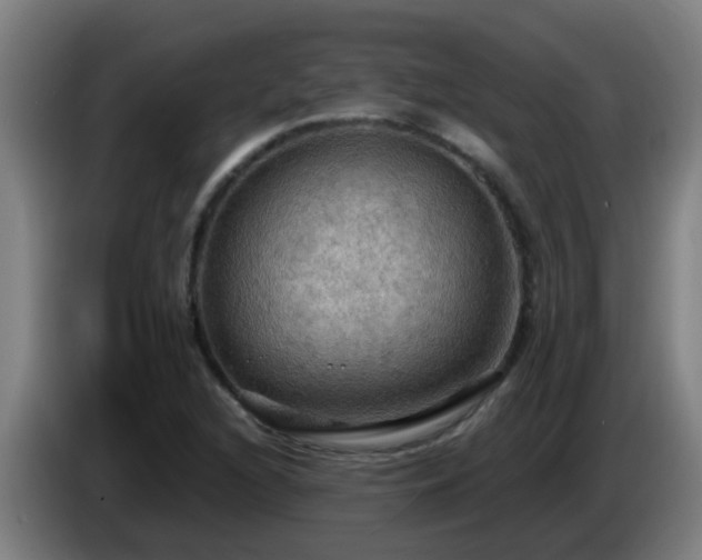 X0000086731216200704201639