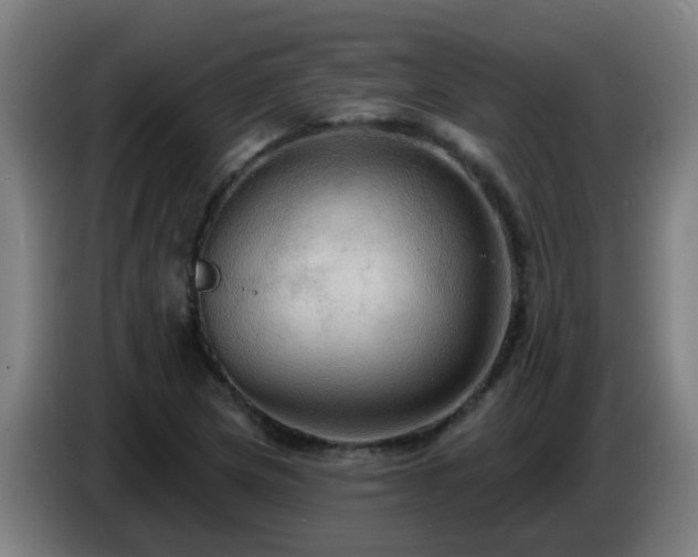 X0000086731217200704201639