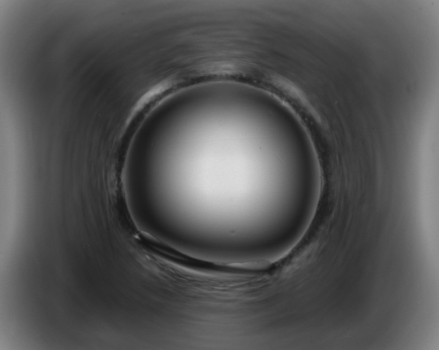 X0000086731218200704201639