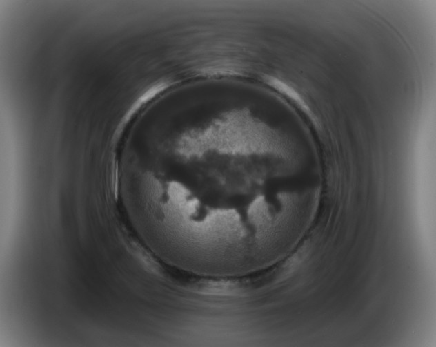 X0000086731219200704201639