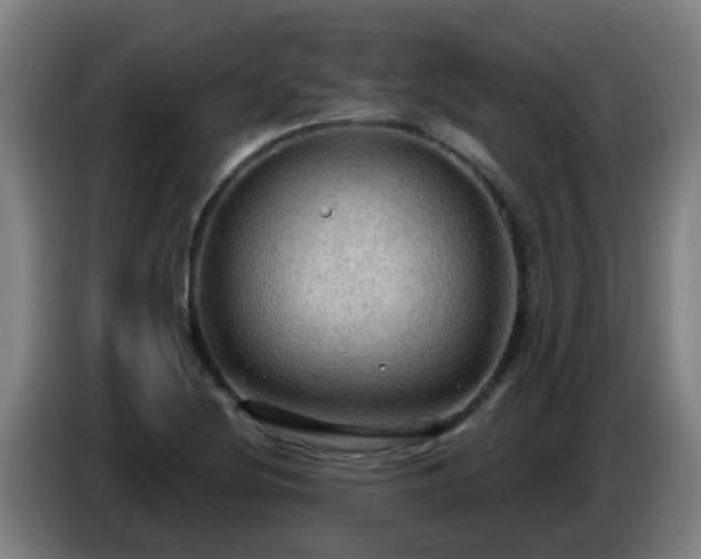 X0000086731220200704201639