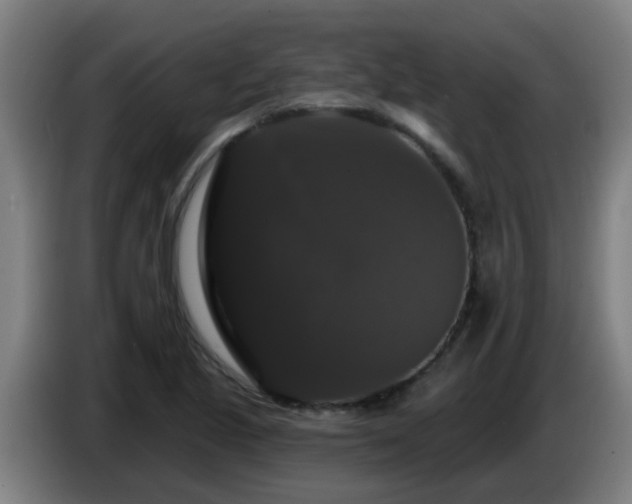 X0000086731221200704201639