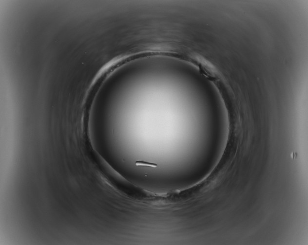 X0000086731222200704201639