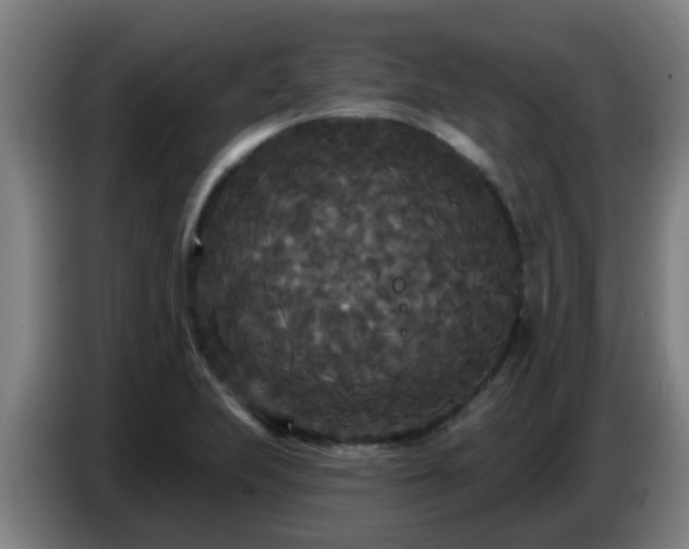 X0000086731223200704201639