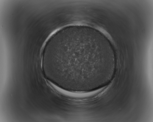 X0000086731224200704201639