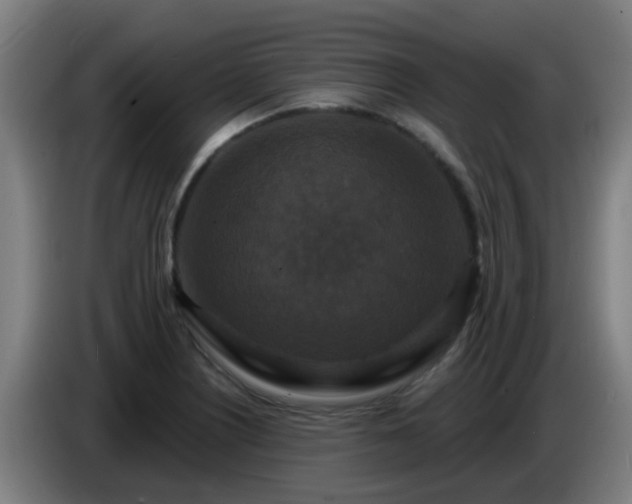 X0000086731226200704201639